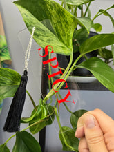 Load image into Gallery viewer, Spicy Bookmark