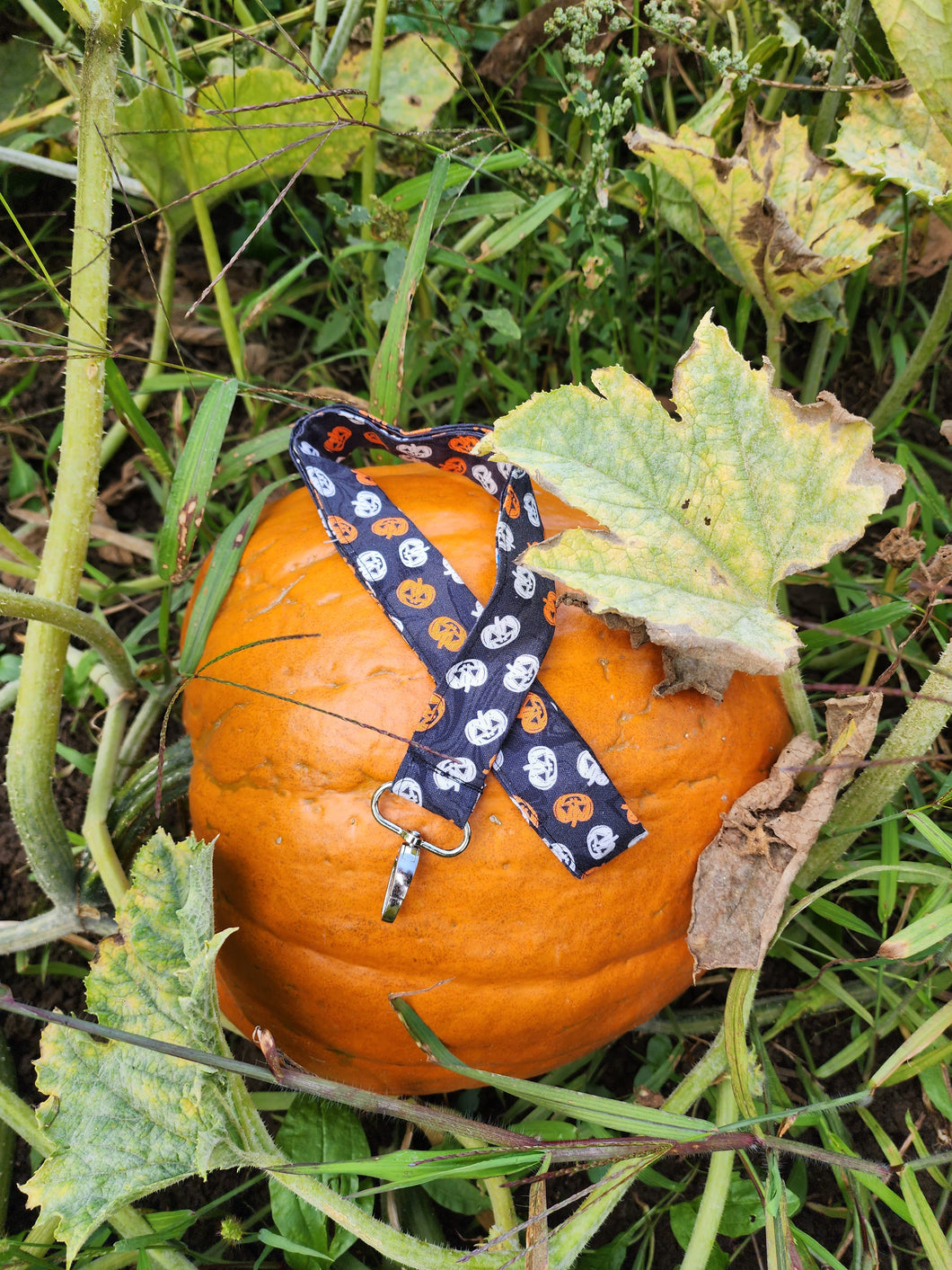 tiny pumpkins lanyard