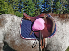 Load image into Gallery viewer, Pink Stirrup cover set
